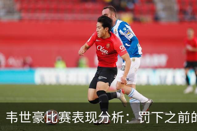 韦世豪比赛表现分析：罚下之前的脚步与数据